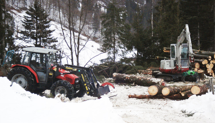 Top Forstarbeiter-Wintertipps für Forstwerkzeuge: Winter